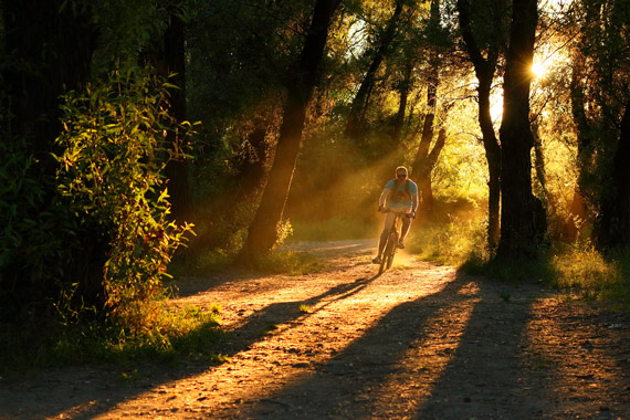 Read more about the article Golden Hours for Photography